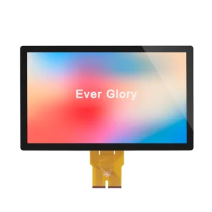 Touch Display Module